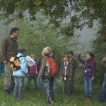Wald Wild