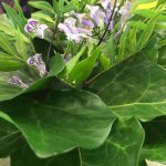 Arbeiten mit Blumen