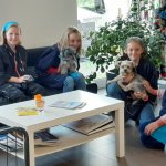 hundesalon